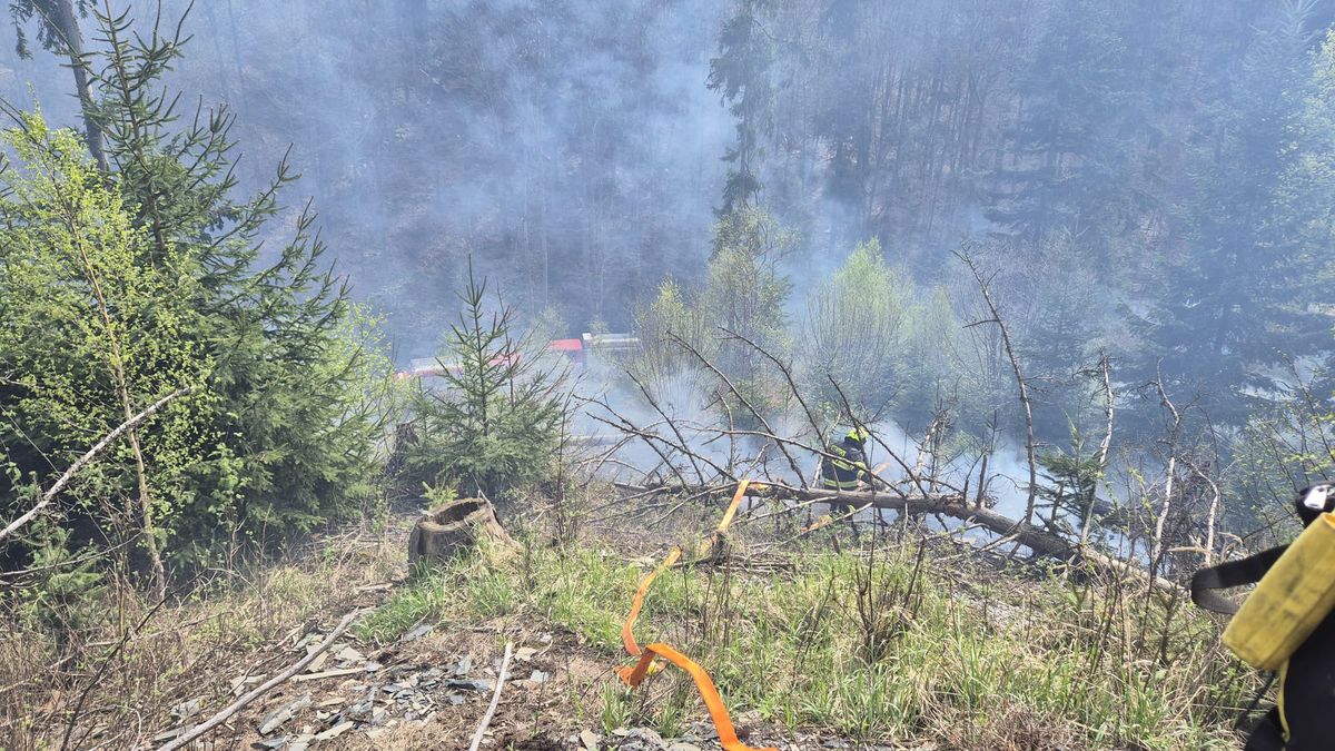 V nepřístupném terénu na Olomoucku hořela hrabanka, hasiči k požáru slaňovali